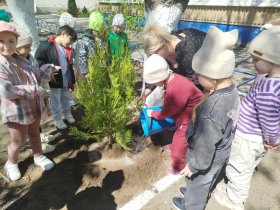 День древонасаждения